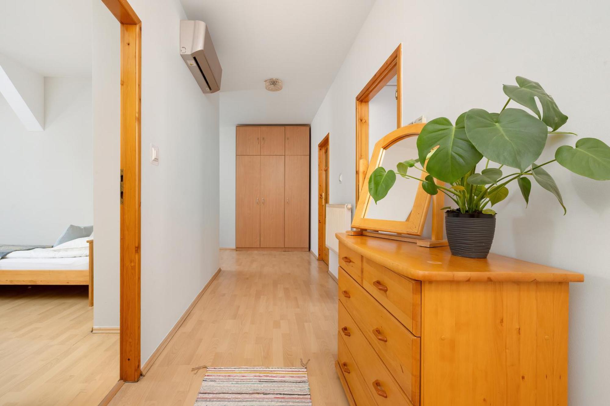Sunshine Apartment 克拉科夫 外观 照片