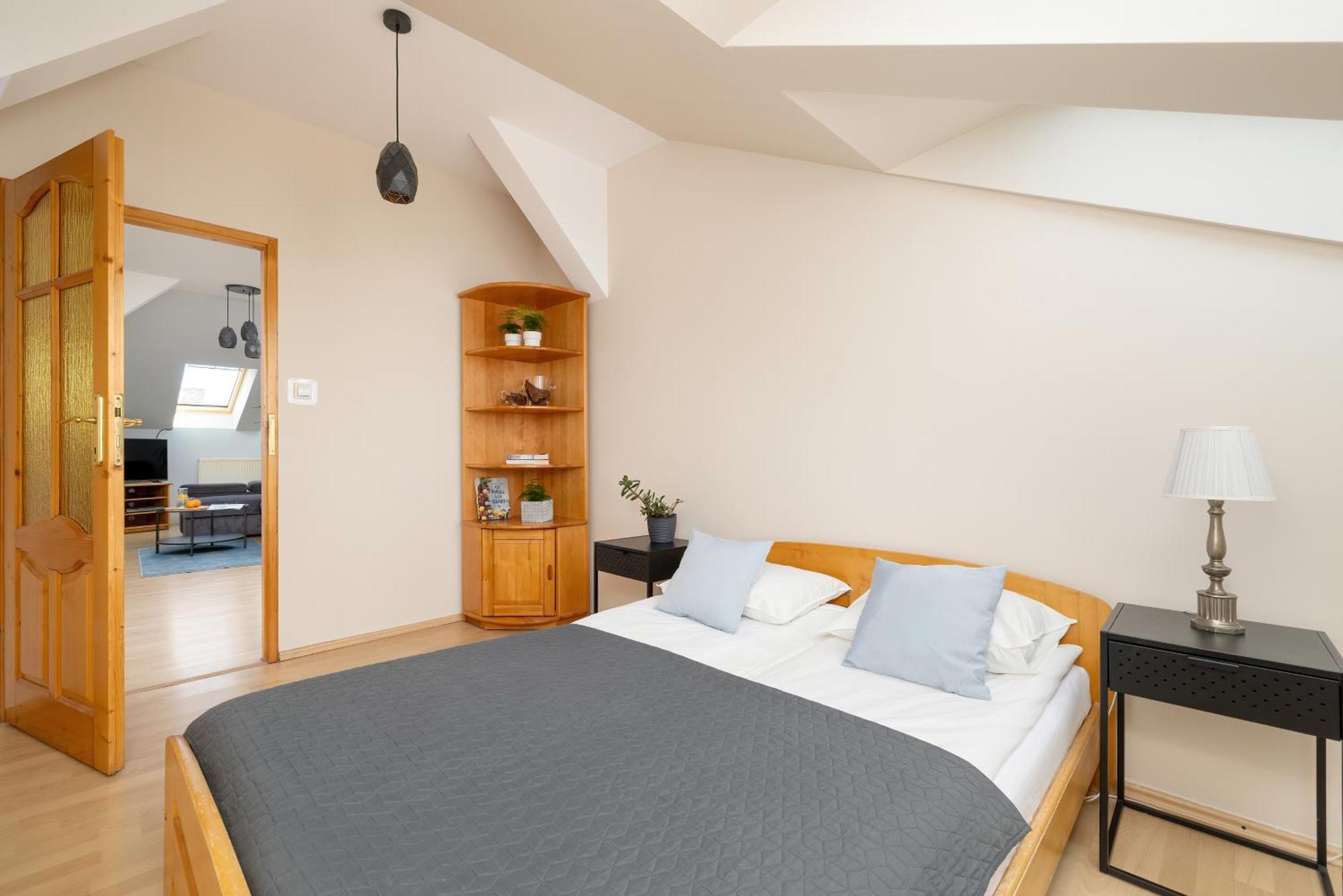 Sunshine Apartment 克拉科夫 外观 照片