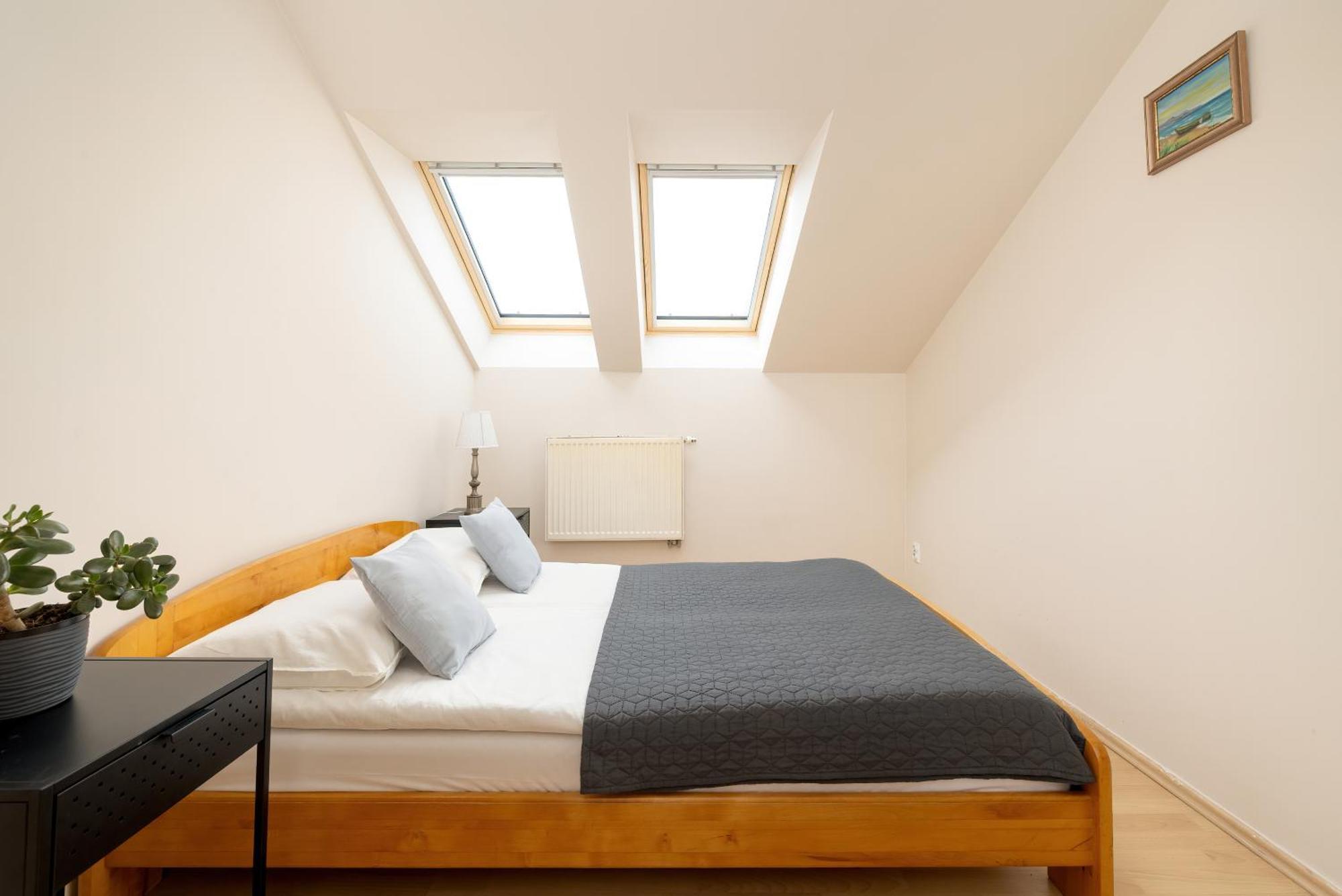 Sunshine Apartment 克拉科夫 外观 照片